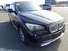 2010 BMW X1 ABA-VL25 WBAVL52050VL58492