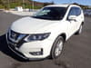 NISSAN X-Trail Hybrid (177)