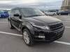 2014 LAND ROVER RANGE ROVER EVOQUE CBA-LV2A SALVA2AG2EH954633
