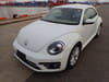 VOLKSWAGEN The Beetle (388)