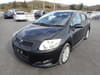TOYOTA Auris (101)