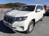 TOYOTA Land Cruiser Prado (1,969)