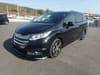 HONDA Odyssey (1,206)