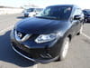 NISSAN X-Trail Hybrid (169)
