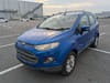 FORD Ecosports (10)