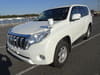 2016 TOYOTA LAND CRUISER PRADO LDA-GDJ150W GDJ150-0010379
