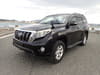 2014 TOYOTA LAND CRUISER PRADO CBA-TRJ150W TRJ150-0043352