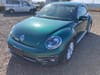 VOLKSWAGEN The Beetle (429)