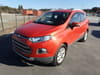 FORD Ecosports (6)