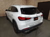 2020 MERCEDES-BENZ GLA-CLASS 3DA-247713M W1N2477132J178141