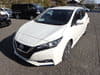 NISSAN Leaf (514)