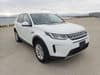 2020 LAND ROVER DISCOVERY SPORT 3DA-LC2NC SALCA2AN7LH838783