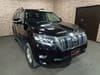 2019 TOYOTA LAND CRUISER PRADO CBA-TRJ150W TRJ150-0100703