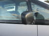 1996 TOYOTA ESTIMA EMINA E-TCR10G TCR10-1267107