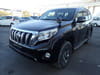 2015 TOYOTA LAND CRUISER PRADO CBA-TRJ150W TRJ150-0055552