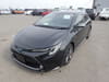 TOYOTA Corolla Touring (292)