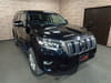 2020 TOYOTA LAND CRUISER PRADO 3BA-TRJ150W TRJ150-0119162