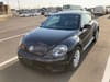 VOLKSWAGEN The Beetle (416)
