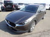 MAZDA CX-30 (340)