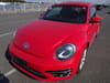 VOLKSWAGEN The Beetle (365)