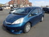 HONDA Fit Shuttle Hybrid (114)
