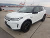 2020 LAND ROVER DISCOVERY SPORT 5BA-LC2XC SALCA2AX2LH864810