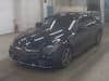 2019 MERCEDES-BENZ C-CLASS 5AA-205077 WDD2050772R500565
