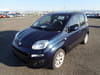 Fiat Panda (98)