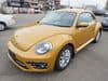 VOLKSWAGEN The Beetle (415)