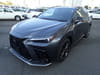LEXUS NX (1,632)