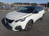 PEUGEOT 5008 (171)