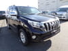 2017 TOYOTA LAND CRUISER PRADO CBA-TRJ150W TRJ150-0072514
