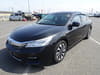 HONDA Accord Hybrid (147)