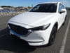 MAZDA CX-8 (687)