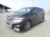 NISSAN Elgrand (1,054)