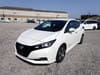 NISSAN Leaf (407)