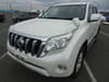 2015 TOYOTA LAND CRUISER PRADO LDA-GDJ150W GDJ150-0008461