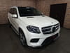 2019 MERCEDES-BENZ GLS CLASS LDA-166824 WDC1668242B225796