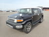 TOYOTA FJ Cruiser (355)