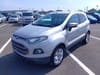 FORD Ecosports (13)