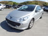 PEUGEOT 307 (8)